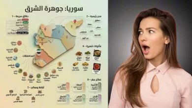 برومبت إنشاء صور انغوجرافيك خريطة باستخدام نانو بنانا برو